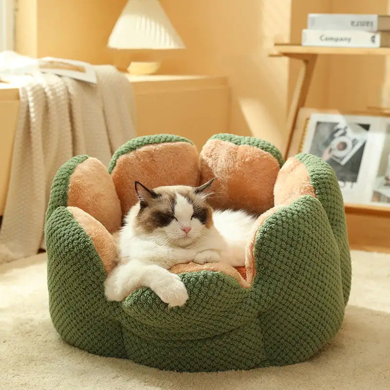 Exquisite Cactus Blossom Pet Sanctuary: A Luxurious Oasis for Your Furry Friend